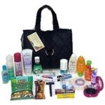 Mommy's Hospital Overnight Bag