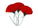 Red Tissue Flowers | bulk buys