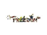 Unfinished Wooden FREEDOM Craft Kit | bulk buys