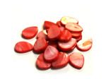Pink Top-Drilled Teardrop Freshwater Shell Beads | bulk buys