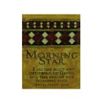 morning star plaque | bulk buys