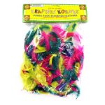 Craft Feathers