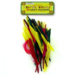 Craft Feathers