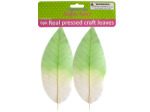 Real Pressed Craft Leaves | krafters korner