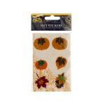 Autumn Bliss Felt Stickers | bulk buys