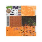 individual fold out album kit - frightful | bulk buys