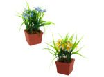 flowers in sqr pot asst | bulk buys