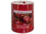 Apple Cinnamon Scented Pillar Candle | bulk buys