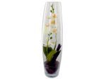 tall glass vase w/flowers | bulk buys