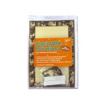 Thanksgiving Imprintable Invitations with Envelopes | bulk buys