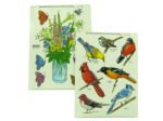 Birds window clings | bulk buys
