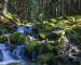 smooth-water-flowing-over-moss-covered-rocks